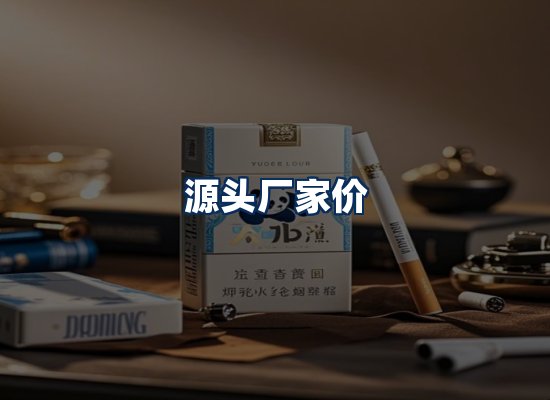 专业团队办公环境